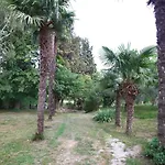 Extra Virgin Apartment Portoroz