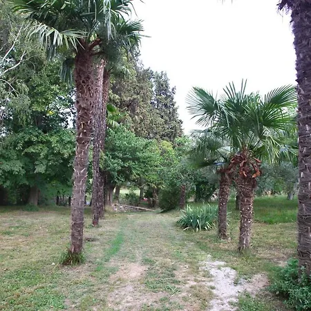 Extra Virgin Portorose